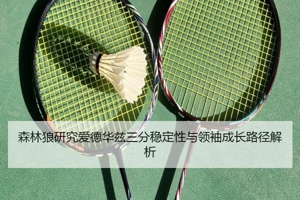 森林狼研究爱德华兹三分稳定性与领袖成长路径解析