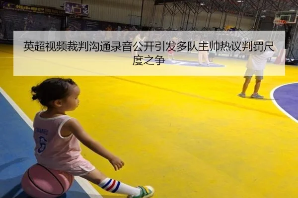 英超视频裁判沟通录音公开引发多队主帅热议判罚尺度之争